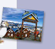 Iceland Tours